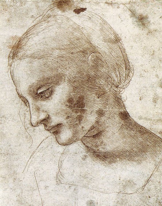 Leonardo+da+Vinci-1452-1519 (397).jpg